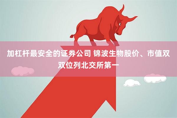 加杠杆最安全的证券公司 锦波生物股价、市值双双位列北交所第一