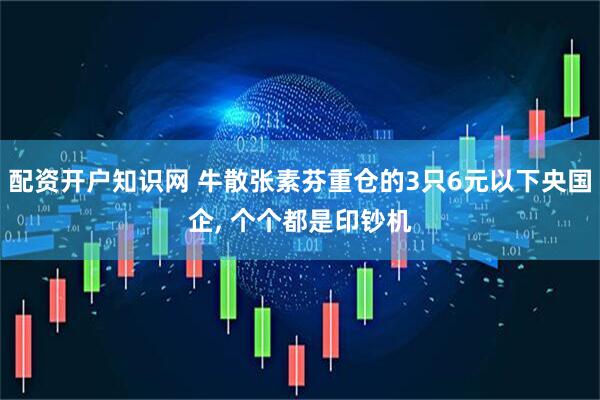 配资开户知识网 牛散张素芬重仓的3只6元以下央国企, 个个都是印钞机