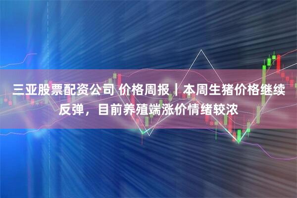 三亚股票配资公司 价格周报｜本周生猪价格继续反弹，目前养殖端涨价情绪较浓